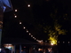 DSCF6396.jpg