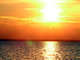 DSCF8425.jpg